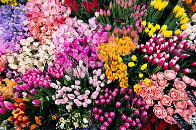 外媒评选15款用虚幻5画面最好的游戏 《铁拳8》等