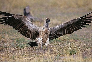 沙特阿拉伯政府投资380亿美元 打造游戏产业中心